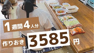 【1週間作り置き】超節約になる！かんたんおかずで12品