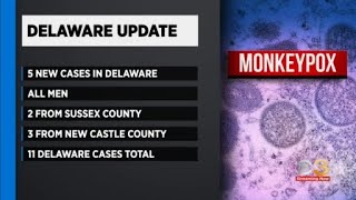 Delaware now up to 11 cases of Monkeypox total