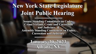 NYS Legislature Joint Public Hearing: Criminal Justice Data - 01/30/23