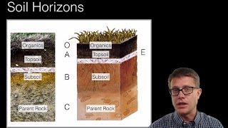 Soil and Soil Dynamics