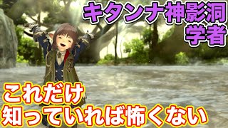 【FF14】キタンナ神影洞に学者(ヒーラー)で挑戦【これだけ知っていれば怖くないヒーラー編 2021年版】