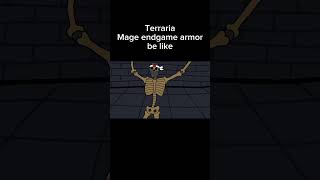 Terraria Mage endgame armor bonus be like ... #terraria #games #memes #animation