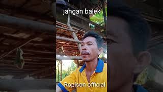 Jangan balek