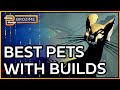 COMPANIONS 2.0 META & BEST BUILDS | Warframe