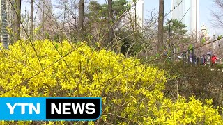 [날씨] 벌써 초여름, 동두천 26.3℃...내일까지 고온 / YTN