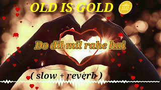 Do Dil mil rahe hai . Old is gold 🪙 (slow + reverb)/ lofi song
