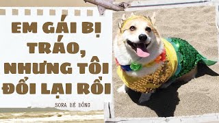 [Truyện Audio ] [FULL] EM GÁI BỊ TRÁO, NHƯNG TÔI ĐỔI LẠI RỒI || Sora Bé Bỏng