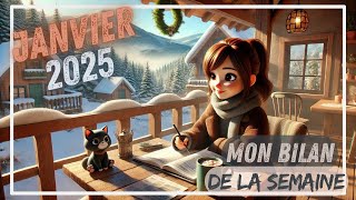 ❄️Budget ❄️Bilan S2 et du Mois De Janvier 🤗 #bilan #cashenvelopes