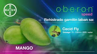 Innovations for your Mango Production | Oberon® Speed SC 240