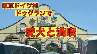 [東京ドイツ村]ドッグランで満喫