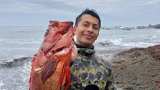 Spearfishing a remote location in California for Vermillion rockfish! Almost got attacked by seals!