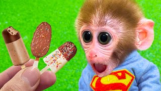 🐵Baby Monkey Bi Bon eats chocolate ice cream and buys fruit at the supermarket | Animal HT