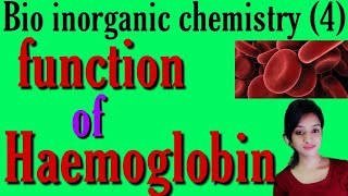 Biological function of haemoglobin in animals, haemoglobin function, bsc 3rd year inorganic chemistr