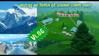 VLOG II ताप्लेजुंग बाट फिदिम हुदै इलामको रामाणी स्थाल II Taplejung To Ilam Bazar II