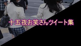 【おもしろ文章】十五夜お笑さんツイート集【傑作選】