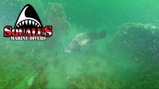 ARTIFICIAL REEF AT SMITHTOWN BAY NY MONSTER BARGE -SQUALUS MARINE DIVERS