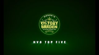 HVG TOP 5 LAND RACE STRAINS