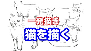 【一発描き】猫を描く