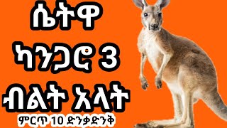 🛑 10 የአለማችን አስገራሚ እውነታዎች | 10 Amazing Facts About The World