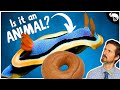 What Do a Human, a Slug, and a Bagel Have in Common? The Answer is Most Unfortunate...