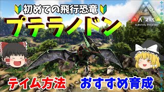 【ARK ゆっくり解説】最初の飛行恐竜プテラノドン！テイム方法・おすすめ育成を解説！！初心者必見！