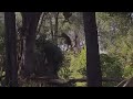 Elephant Of The God! Elephant Herd Rescue Baby Monkey From Leopard Huning
