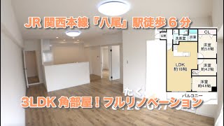 【売約済】プチコート八尾 リノベーションマンションハンター！たくみホーム