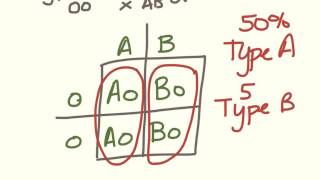 Freshman genetics. Blood type problems