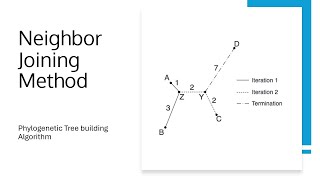 Neighbour Joining Method: Phylogenetic Tree(Step-by-Step Guide)