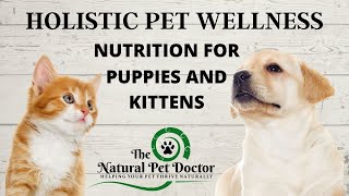 Optimal Pet Nutrition for Puppies and Kittens with The Natural Pet Doctor