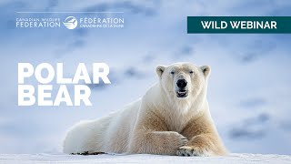 CWF Wild Webinars: Polar Bear