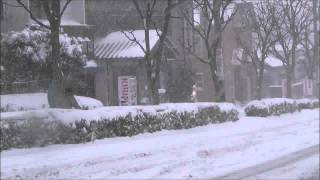 報道　猛吹雪、東京記録的な大雪