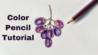 Grapes Tutorial | Color Pencil