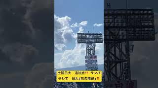 土浦日大　追加点‼️  サンバ(得点歌)  その後　花の精鋭‼️  VS  九州国際大付　高校野球　甲子園