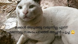 എന്നോട് മാത്രം സങ്കടം പറയുന്ന അച്ഛൻ പൂച്ച🙄ഞാൻ എങ്ങനെ അതിനെ സമാധാനിപ്പിക്കും🥺#cat#allendeworld