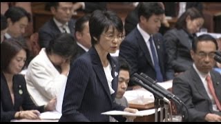 TPP特別委員会集中審議　紙智子議員の質問