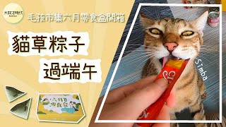 【貓咪零食玩具推薦】毛孩市集6月貓咪玩具零食盒開箱！沒形象開箱！【大奴才時代】