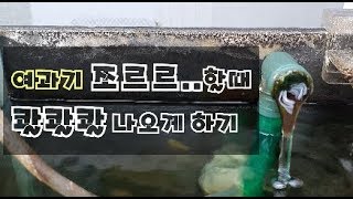 스펀지 여과기 청소 방법 #막힌 여과기 뚫기