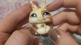 ASMR Toy Showcase Littlest Pet Shop