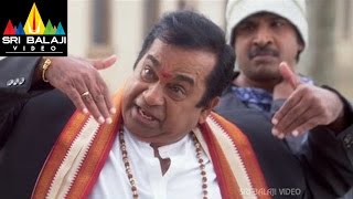 Brahmanandam Comedy Scenes Back to Back | Iddarammayilatho Movie Comedy | Sri Balaji Video