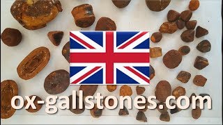 Leader in buying ox gallstones