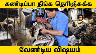 ஏன் சீனாக்காரன் பாம்பு, பல்லி, வௌவால் னு விரும்பி சாப்பிடுறான் ? |China Wildlife Market