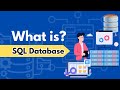 What is SQL Database? Discover SQL in 100 seconds