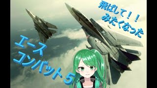 [ACECOMBAT5]久しぶりに戦闘機を飛ばしたくなった#1