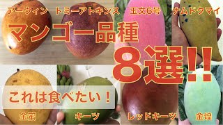 【マンゴー必見！】絶対に食べたいマンゴー8品種！生産者が伝える「美味しいマンゴー」食べ比べ・切り方【沢山の品種があります！】