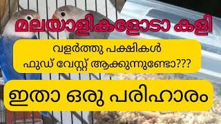 വളർത്തു പക്ഷികൾ ഫുഡ് വേസ്റ്റ് ആക്കാതിരിക്കാൻ ഇതാ ഒരു പരിഹാരം