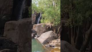 Thirparappu waterfalls #shorts