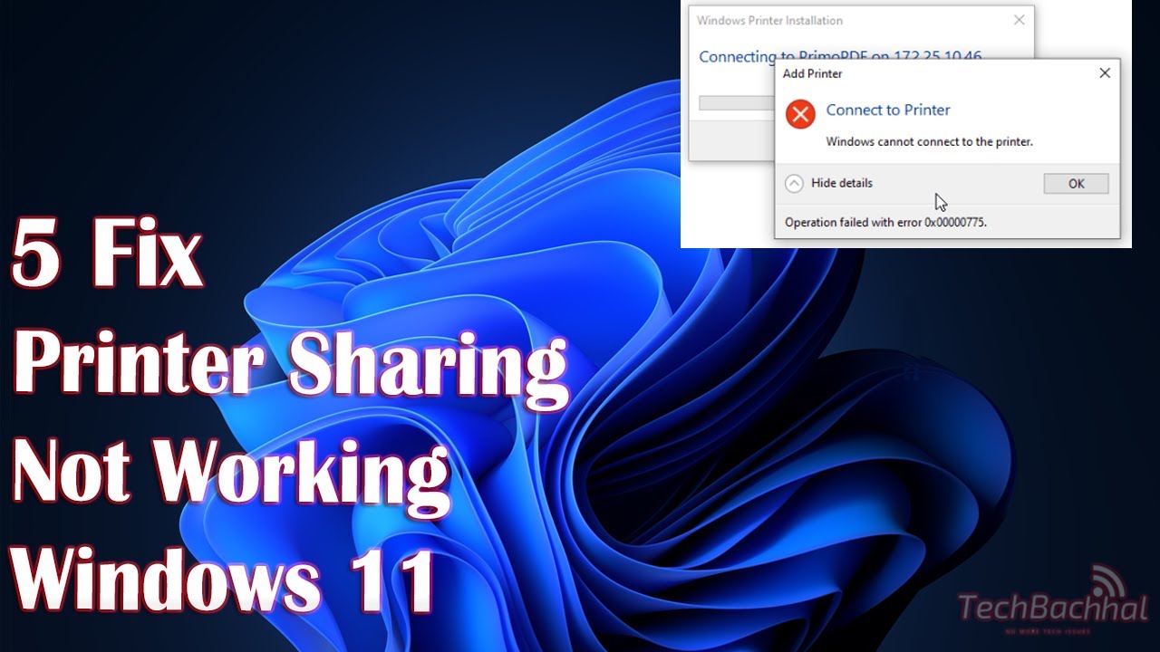 Windows 11 Printer Sharing Not Working How To Fix Youtube