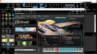 Prime bass - kontakt