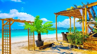 Tropical Beach Cafe Ambience with Ocean Sounds & Bossa Nova Music for Relaxation, Deep Sleep